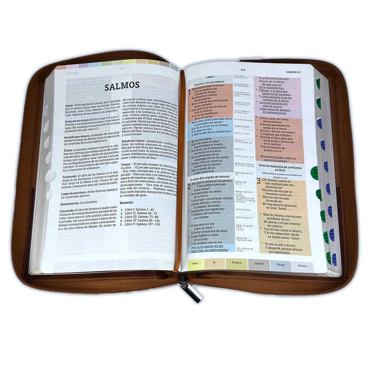 Biblia De Estudio Arco Iris Con Cierre RV1960 Imit Piel PIBBNDS