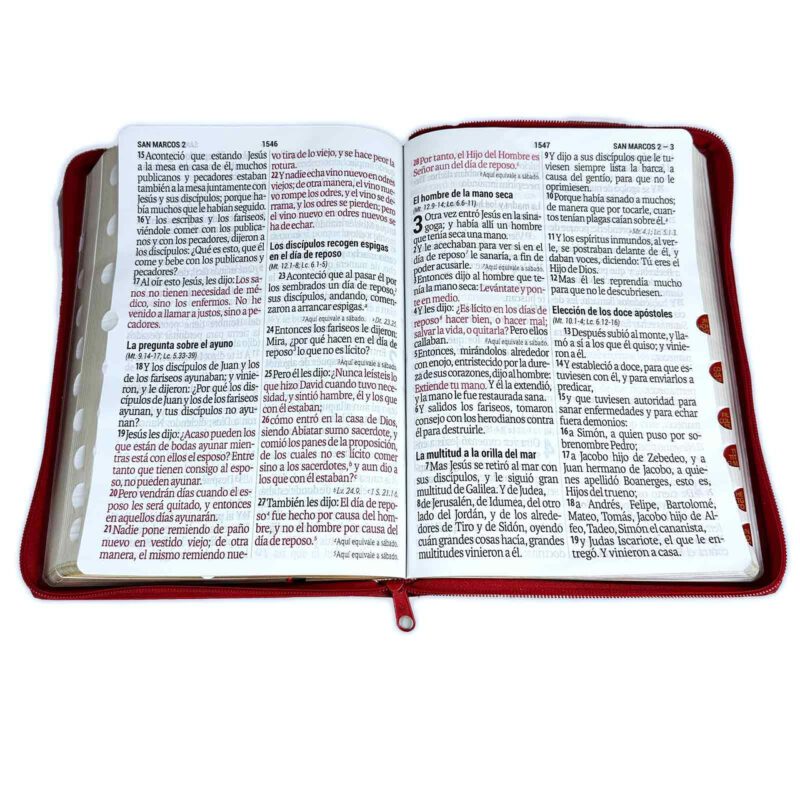Biblia Letra Súper Gigante 19 puntos RV1960 imit. piel rojo - Image 2