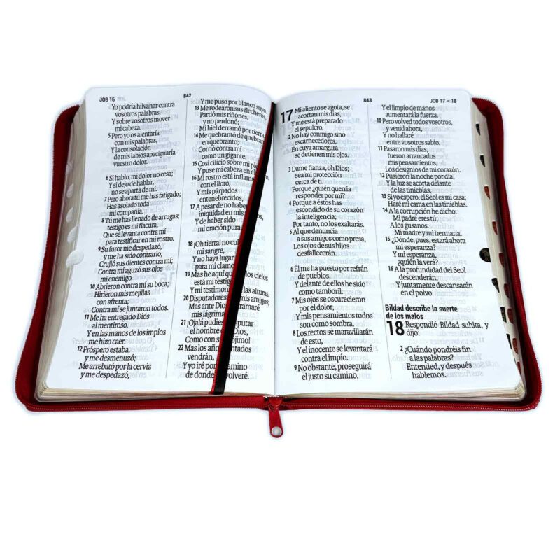Biblia Letra Súper Gigante 19 puntos RV1960 imit. piel rojo - Image 3